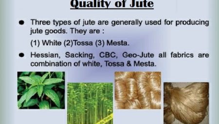 Variety of Jute and Export Data